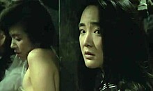 गरम एशियाई लड़की का उपयोग कठोर बंधन के तहत एक चुदाई की वेश्या के रूप में किया जाता है।